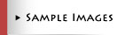 Sample Images